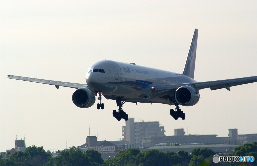 皐月の空✈Boeing 777-300