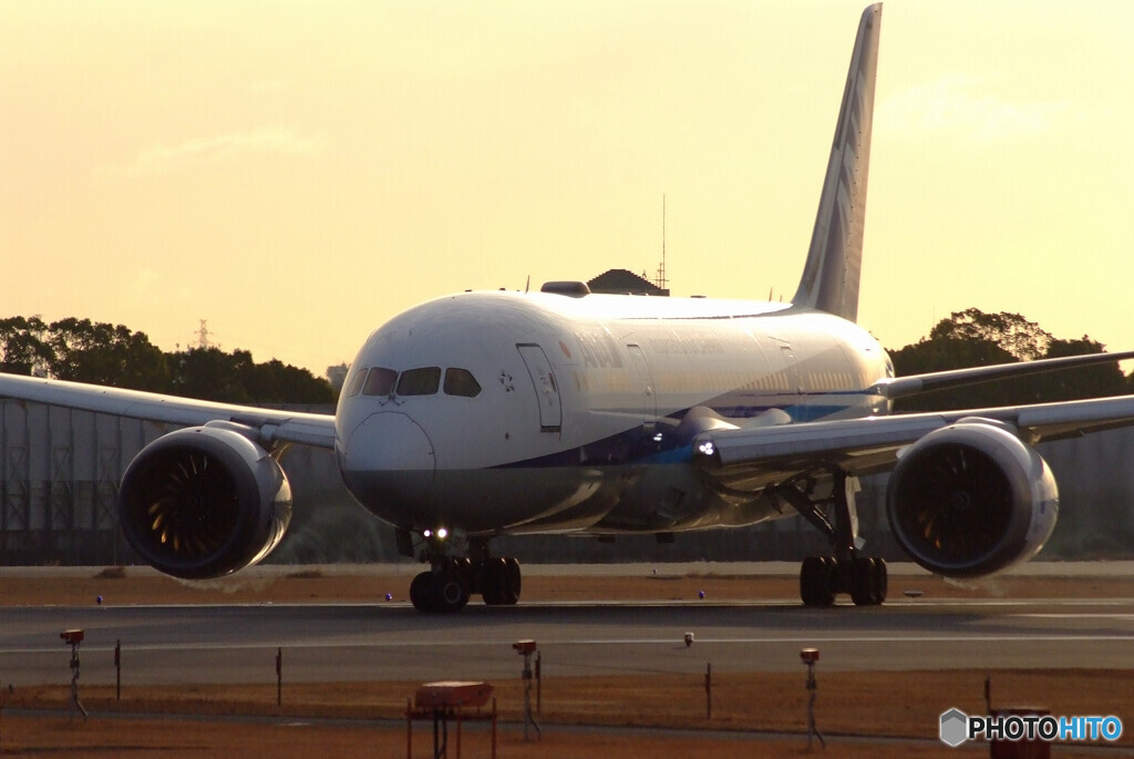 花月の朝✈Boeing787-8