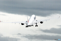 Nice Afternoon✈JA15XJ