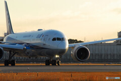 極月の時間✈Boeing 787-8