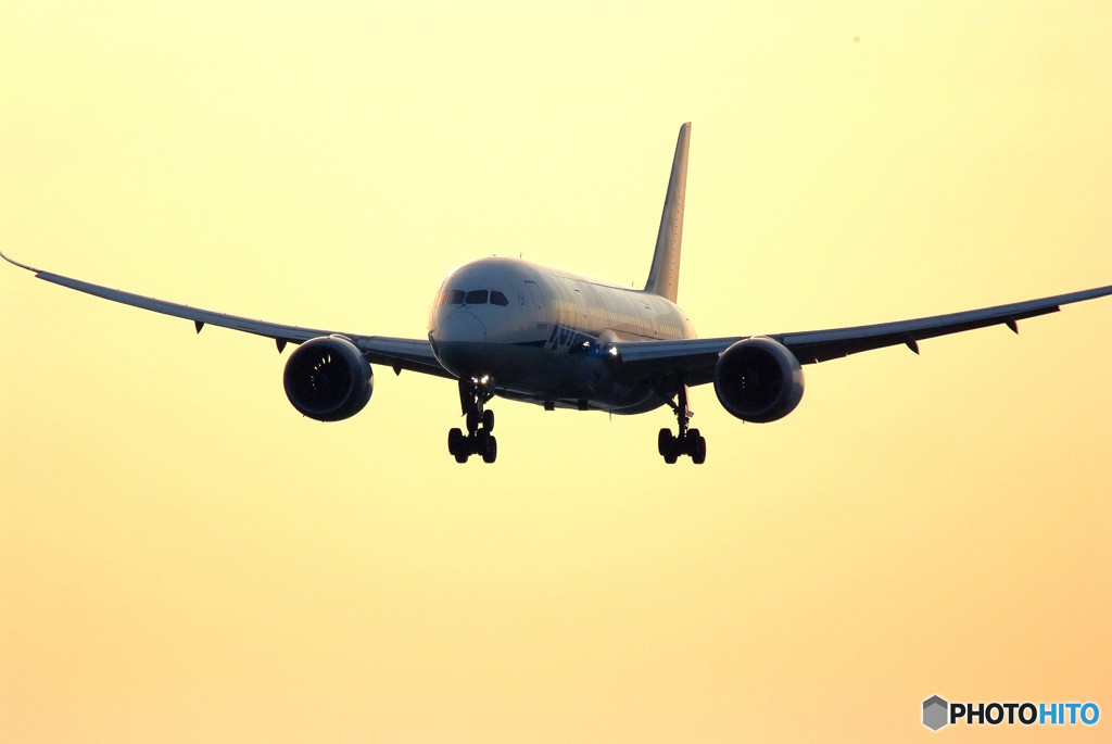 Again！Morning glow・787