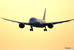 Again！Morning glow・787