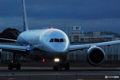 Christmas WingsⅢ✈Boeing 787-8