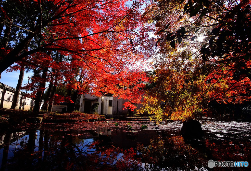 色彩々・水車小屋にて