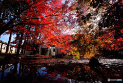 色彩々・水車小屋にて
