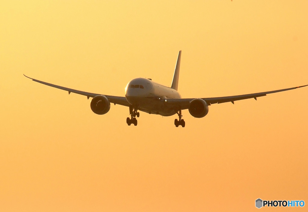 朝焼けの翼・787