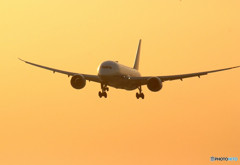 朝焼けの翼・787