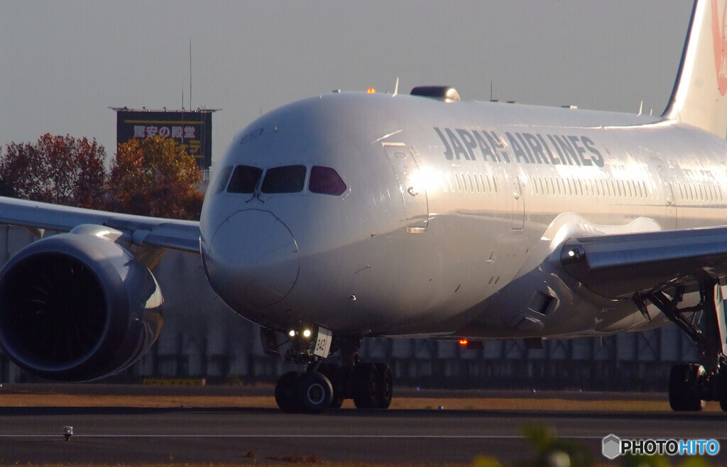 俺の旅路Ⅴ・2019秋