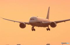 永遠に美しく・787