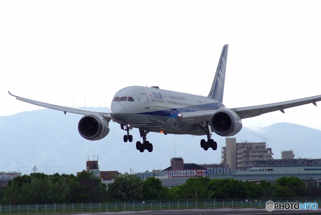 Delusional tripⅥ GW✈Boeing 787-8