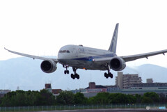 Delusional tripⅥ GW✈Boeing 787-8