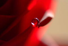 誘惑の雫✿睦月