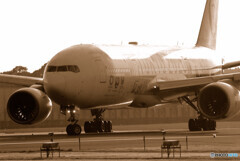 Japanese Pride✈2020