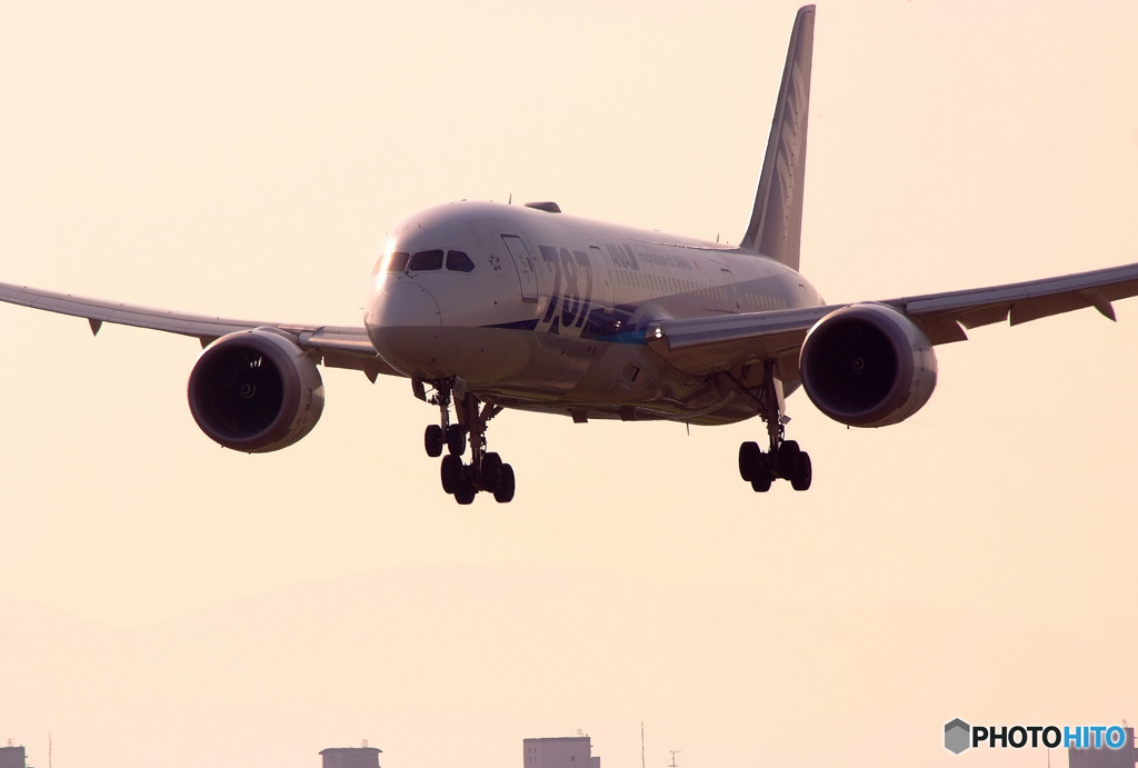 Morning ShowⅡ・787