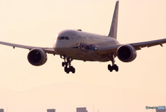 Morning ShowⅡ・787