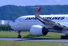 Delusional TripⅢ✈JAPAN WING