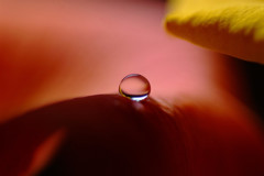 永遠の輝き・雫