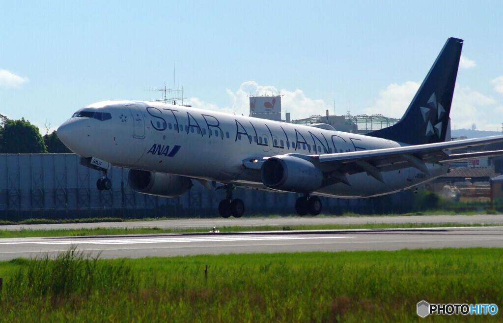 Endless SummerⅢ✈Boeing 737-800