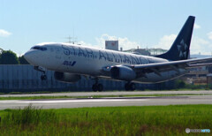 Endless SummerⅢ✈Boeing 737-800