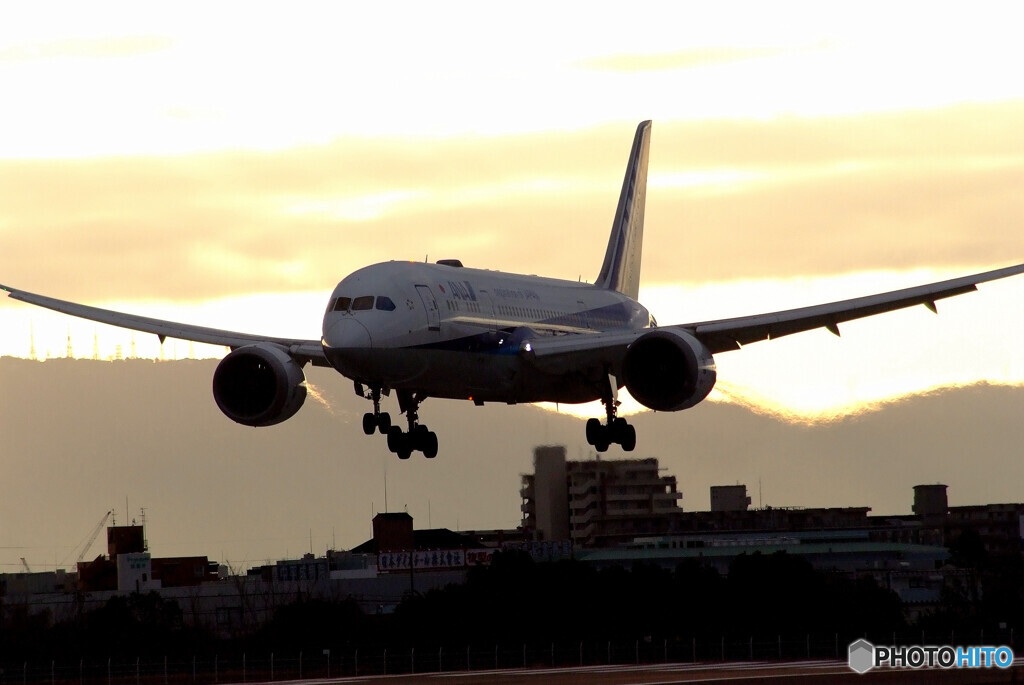 SKYLANDの朝✈Boeing 787-8