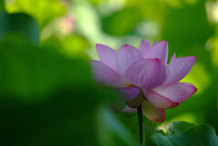 Weekend Love✿蓮
