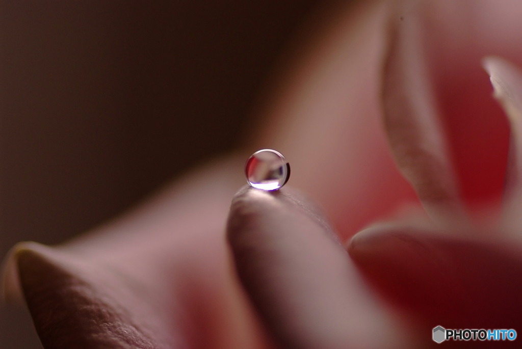 美しき惑星・雫