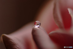 美しき惑星・雫