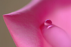 Natural Color✿午後のひと時