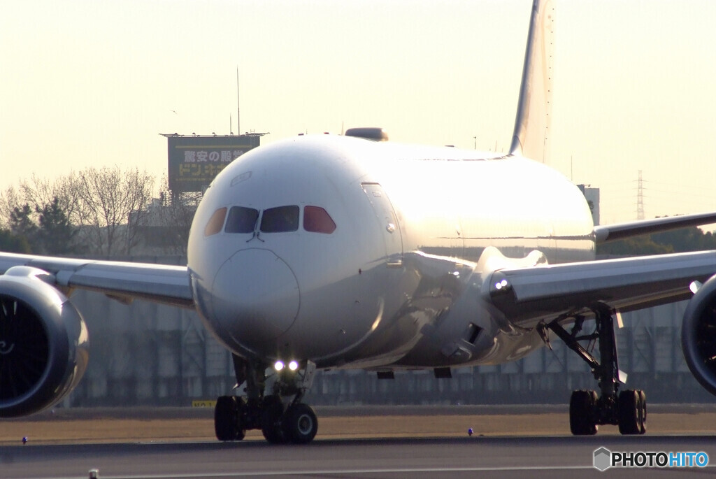 弥生の朝✈Dreamliner