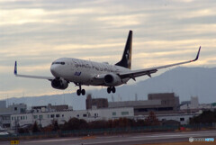 伊丹の翼✈Boeing 737-800