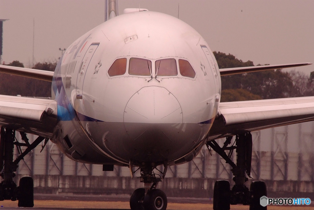 沈黙の紋章・Dreamliner 