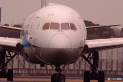 沈黙の紋章・Dreamliner 