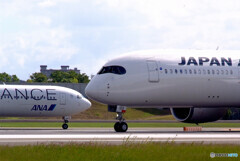 それぞれの旅立ち in HARADA