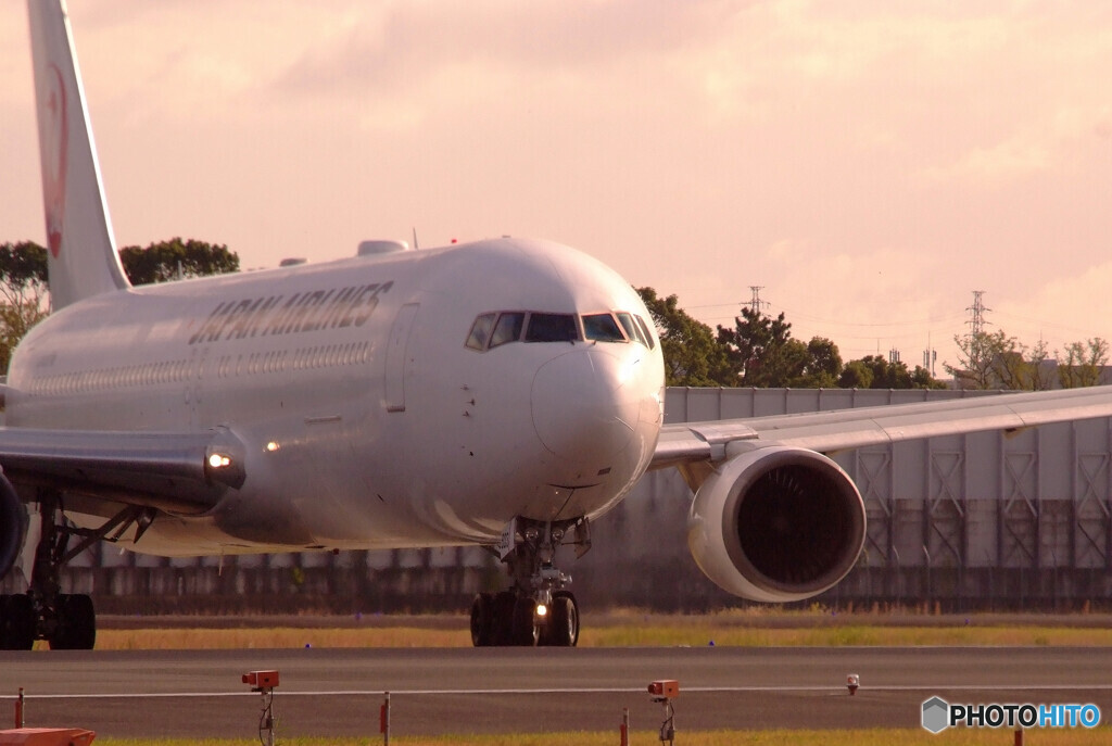 November LightⅡ・767