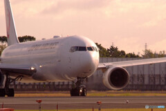 November LightⅡ・767