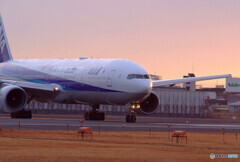 Natural ColorⅡ✈777
