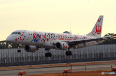 December 20rd✈新しい翼