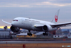 男の勲章✈Boeing787-8