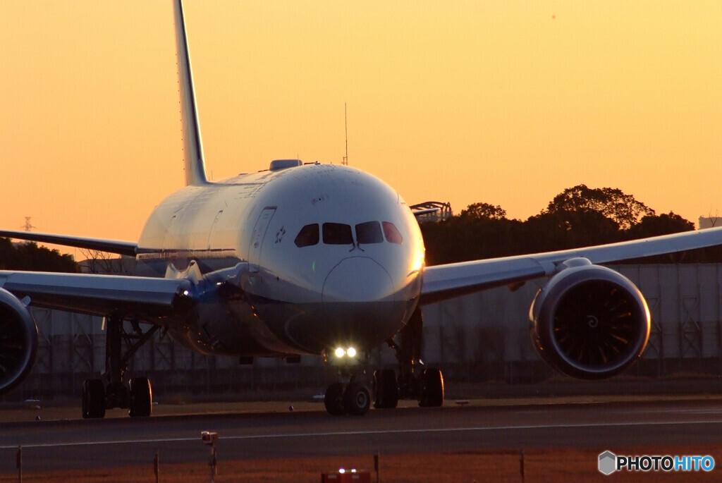 男の浪漫Ⅱ✈Boeing787-8