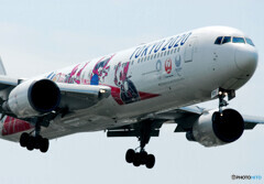 Target Lock on・767