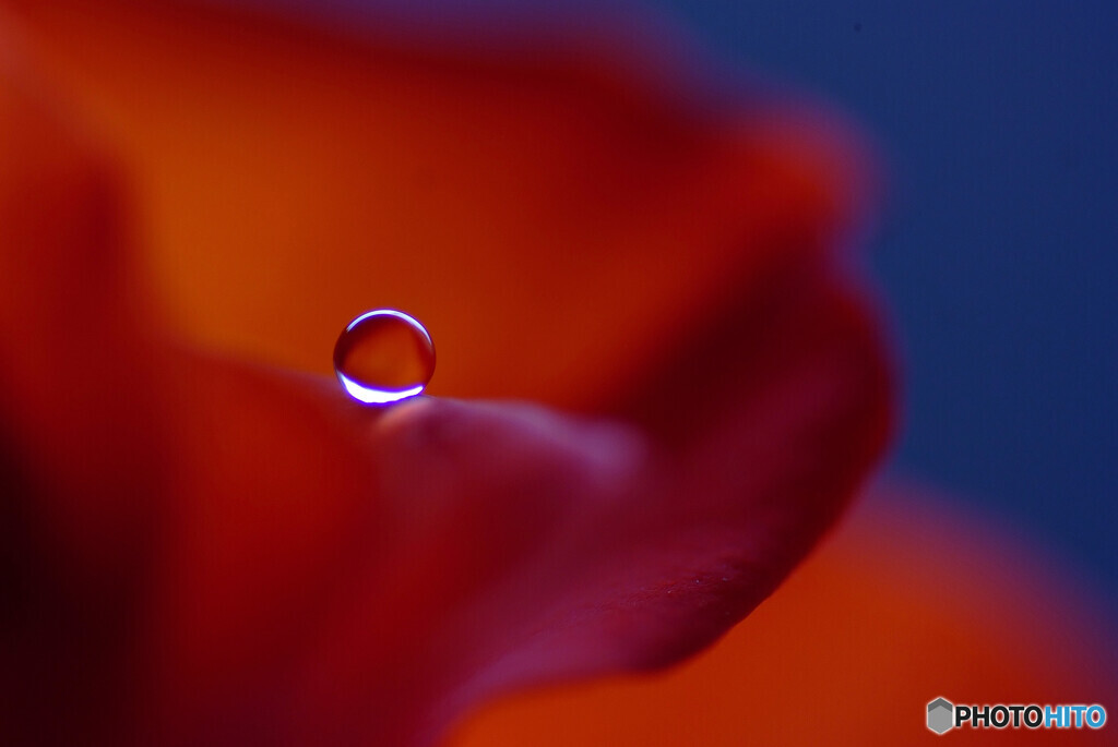 Morning moon★耀き