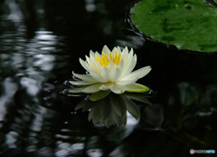 明日へ・睡