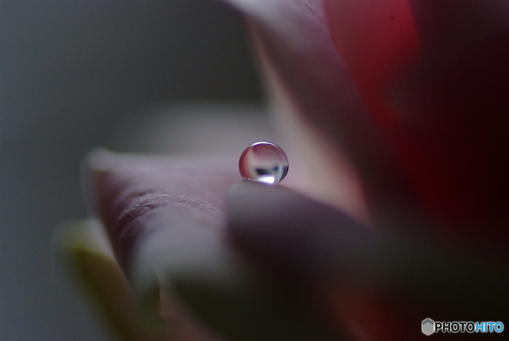 夢見る惑星・雫