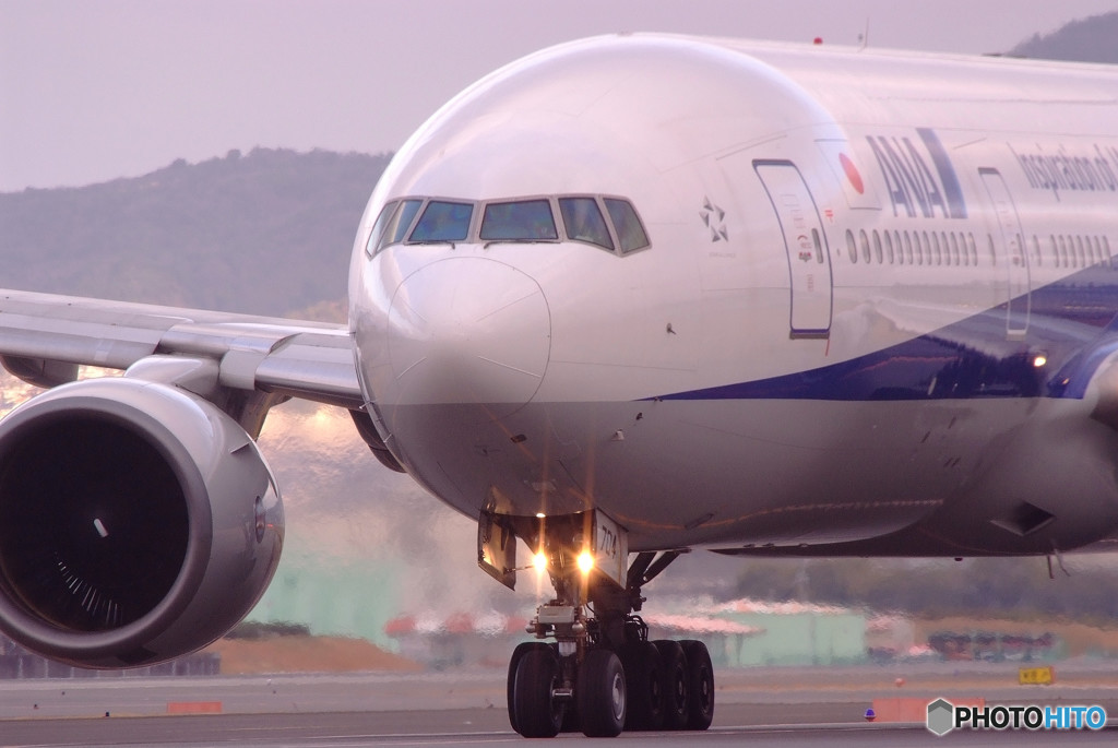 Morning BirdⅢ・JA704A