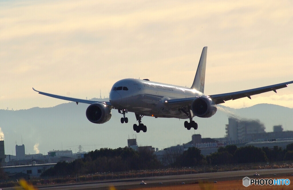 Morning LightⅡ✈Boeing 787-8
