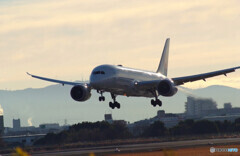 Morning LightⅡ✈Boeing 787-8