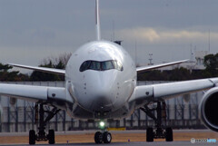 男の旅情✈A350-900 男の旅情✈A350-900