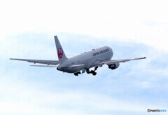 秋空の旅へ✈JAL