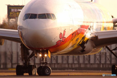 Good Morning・Hello