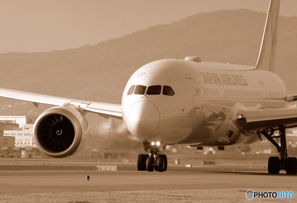 Gift of December 24・787